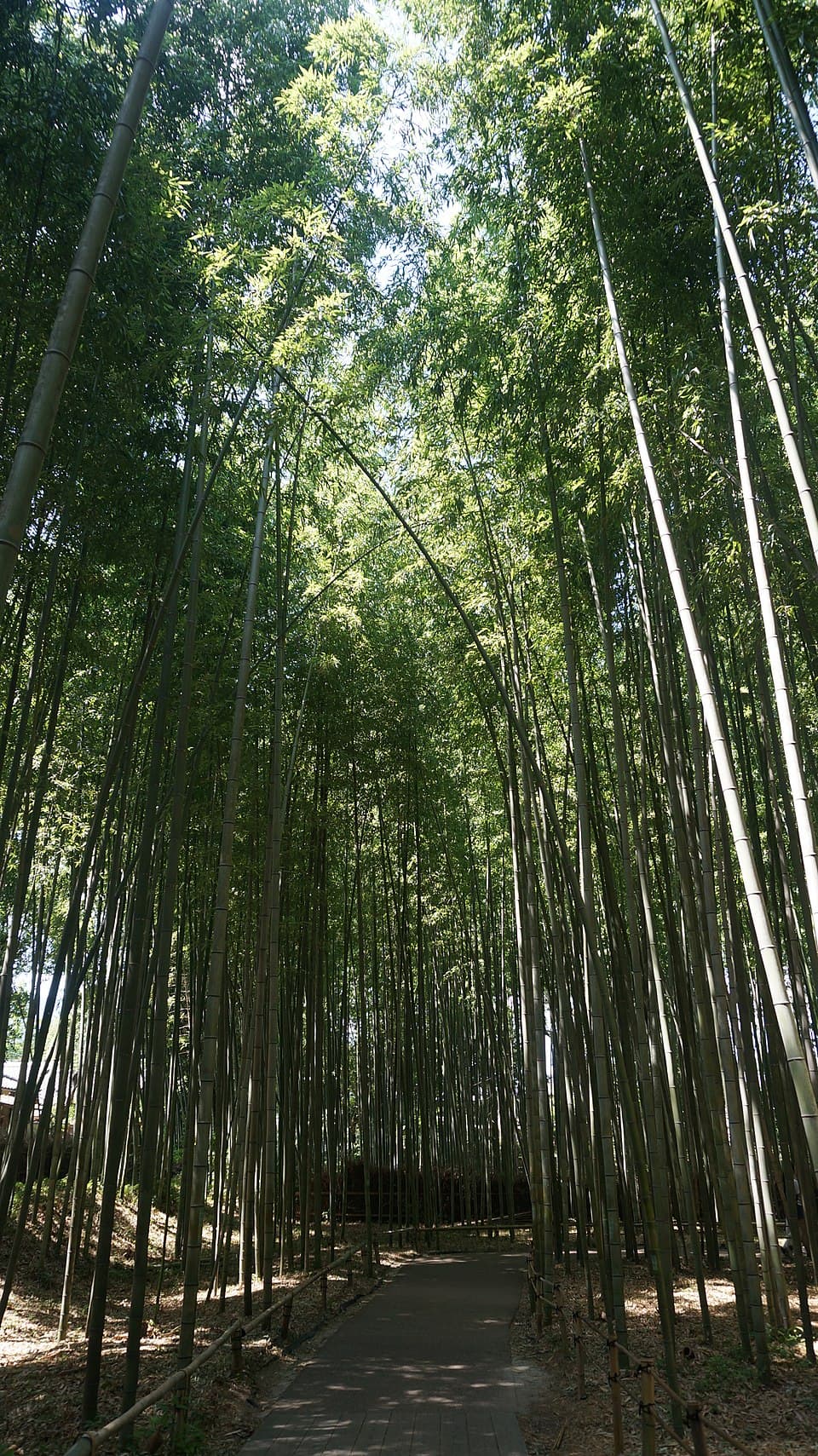 嵐山の街歩き