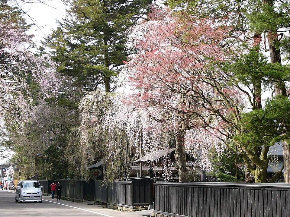 角館 武家屋敷としだれ桜コース