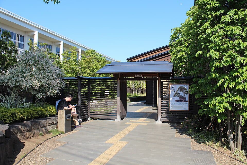 大宮盆栽村・氷川神社の街歩き