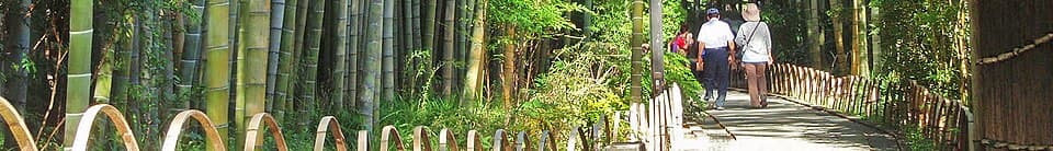 修善寺温泉の街歩き