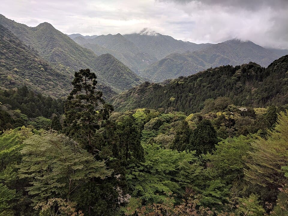 屋久島の街歩き