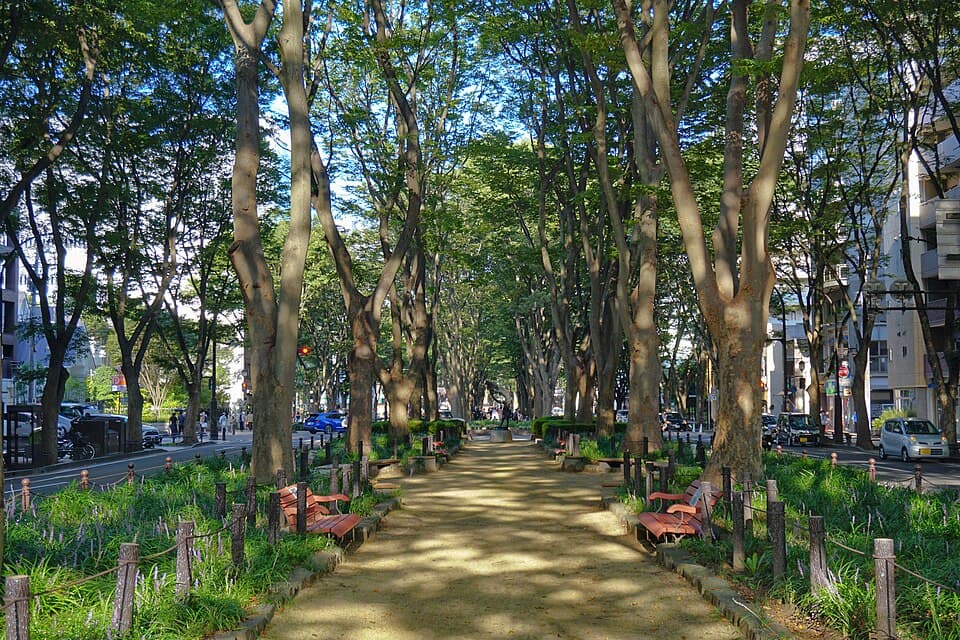 定禅寺通り
