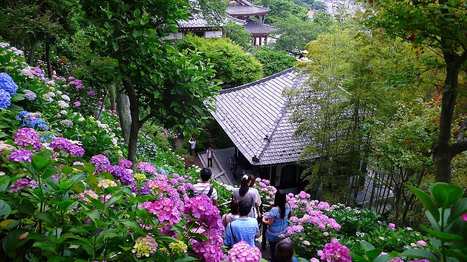 長谷寺