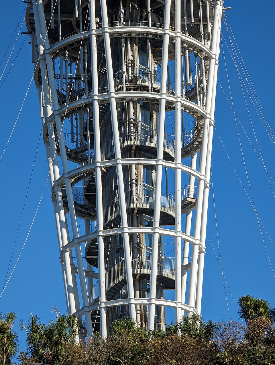江の島 海辺と島巡りコース
