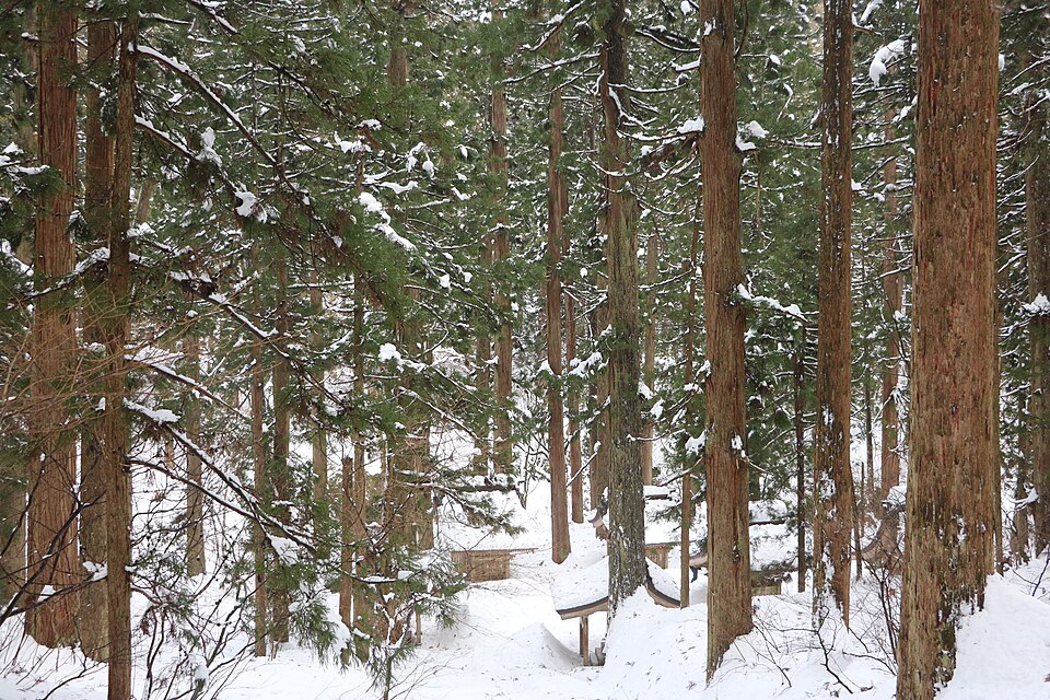 鶴岡・庄内の街歩き