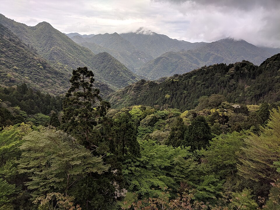 屋久島の街歩き