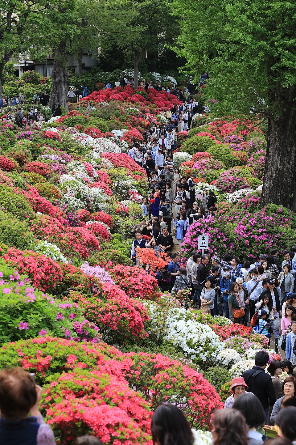 根津神社